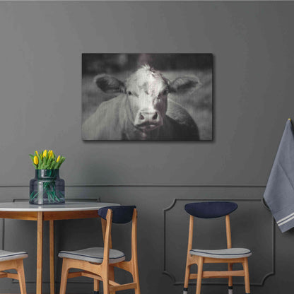 Luxe Metal Art 'Pasture Cow' by Debra Van Swearingen, Metal Wall Art,36x24
