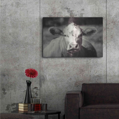 Luxe Metal Art 'Pasture Cow' by Debra Van Swearingen, Metal Wall Art,36x24
