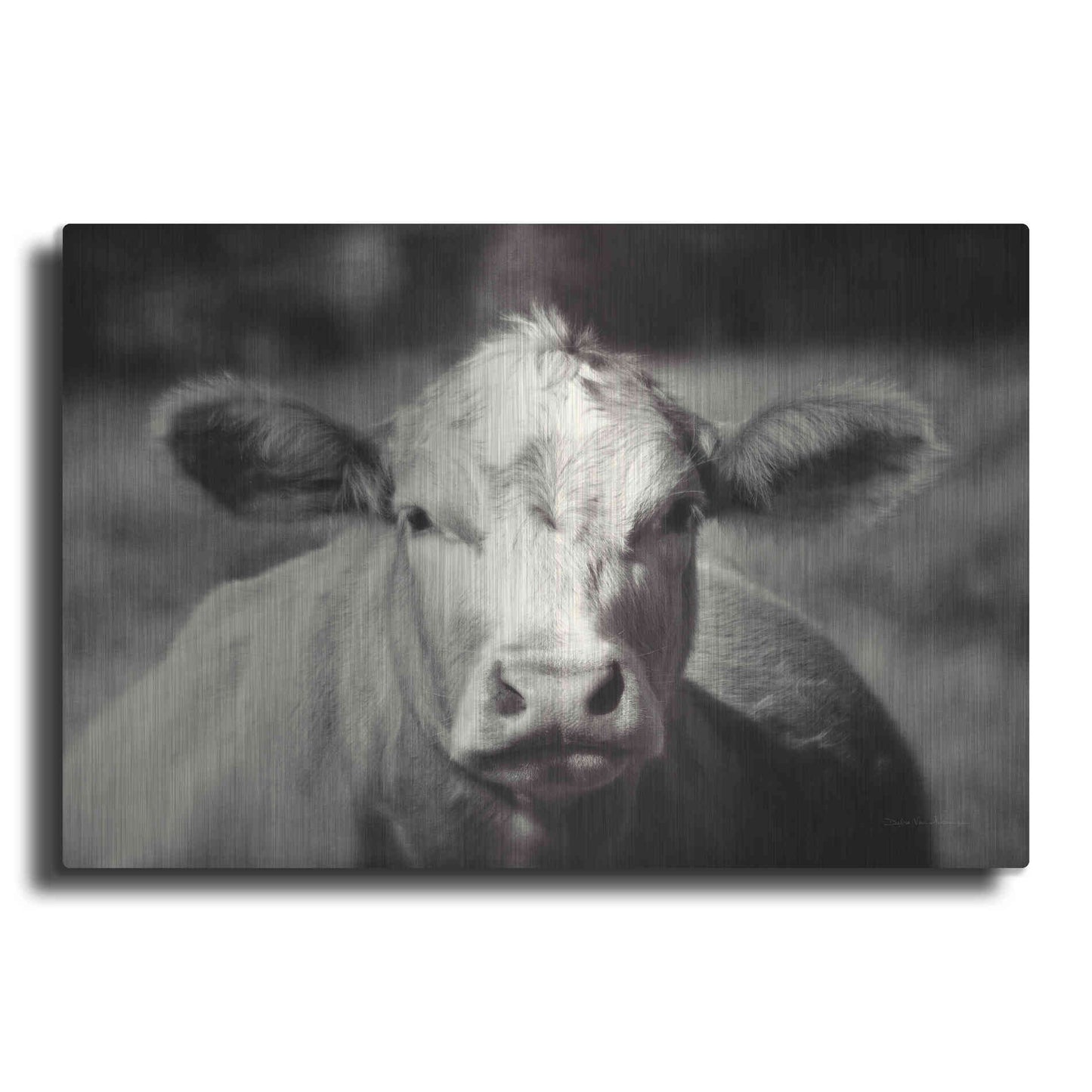Luxe Metal Art 'Pasture Cow' by Debra Van Swearingen, Metal Wall Art