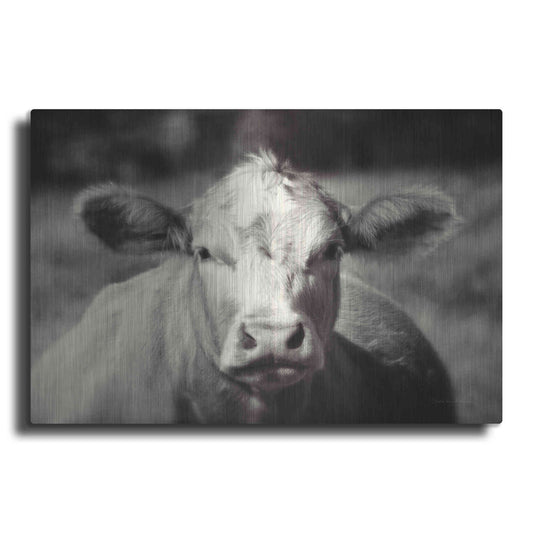 Luxe Metal Art 'Pasture Cow' by Debra Van Swearingen, Metal Wall Art