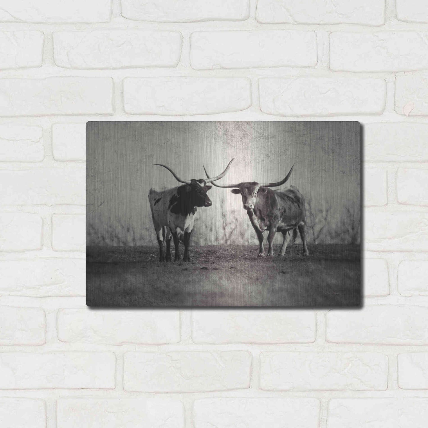 Luxe Metal Art 'Texas Longhorns' by Debra Van Swearingen, Metal Wall Art,16x12
