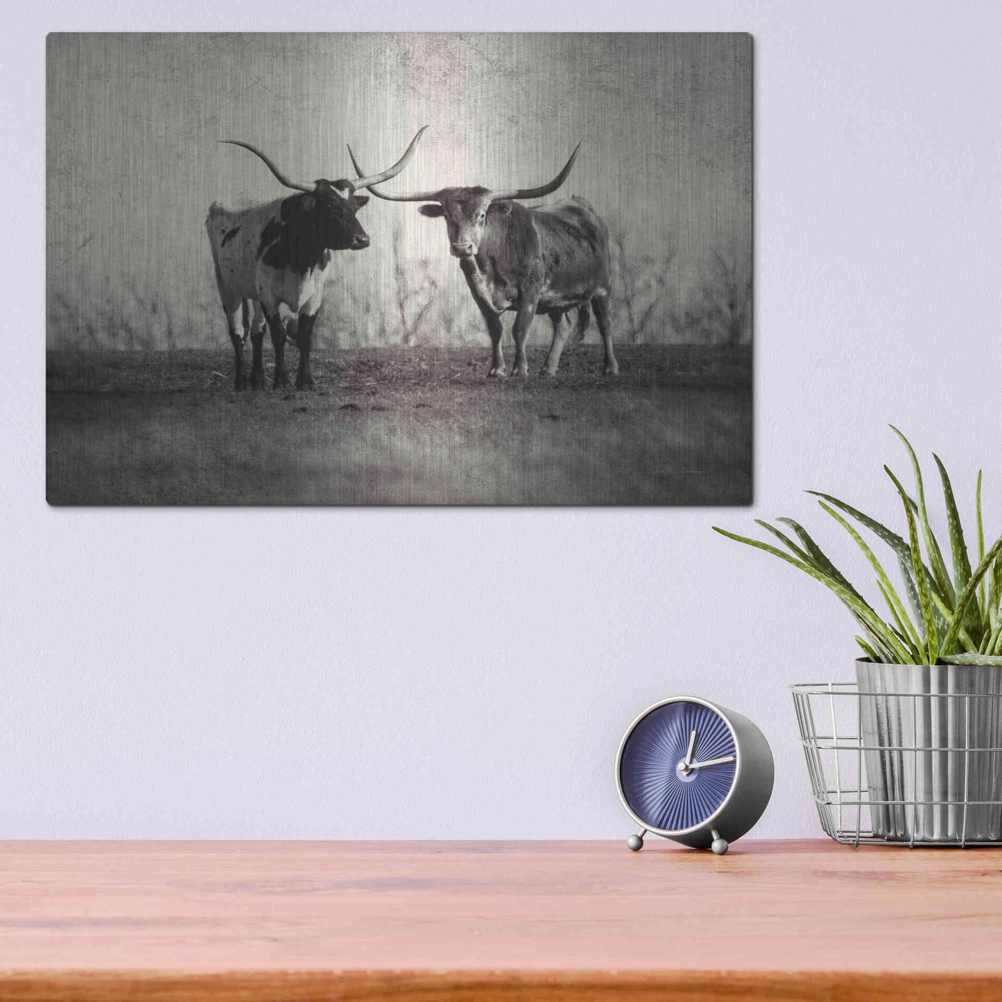 Luxe Metal Art 'Texas Longhorns' by Debra Van Swearingen, Metal Wall Art,16x12