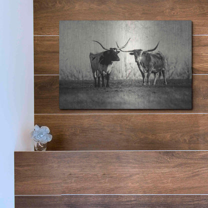 Luxe Metal Art 'Texas Longhorns' by Debra Van Swearingen, Metal Wall Art,16x12