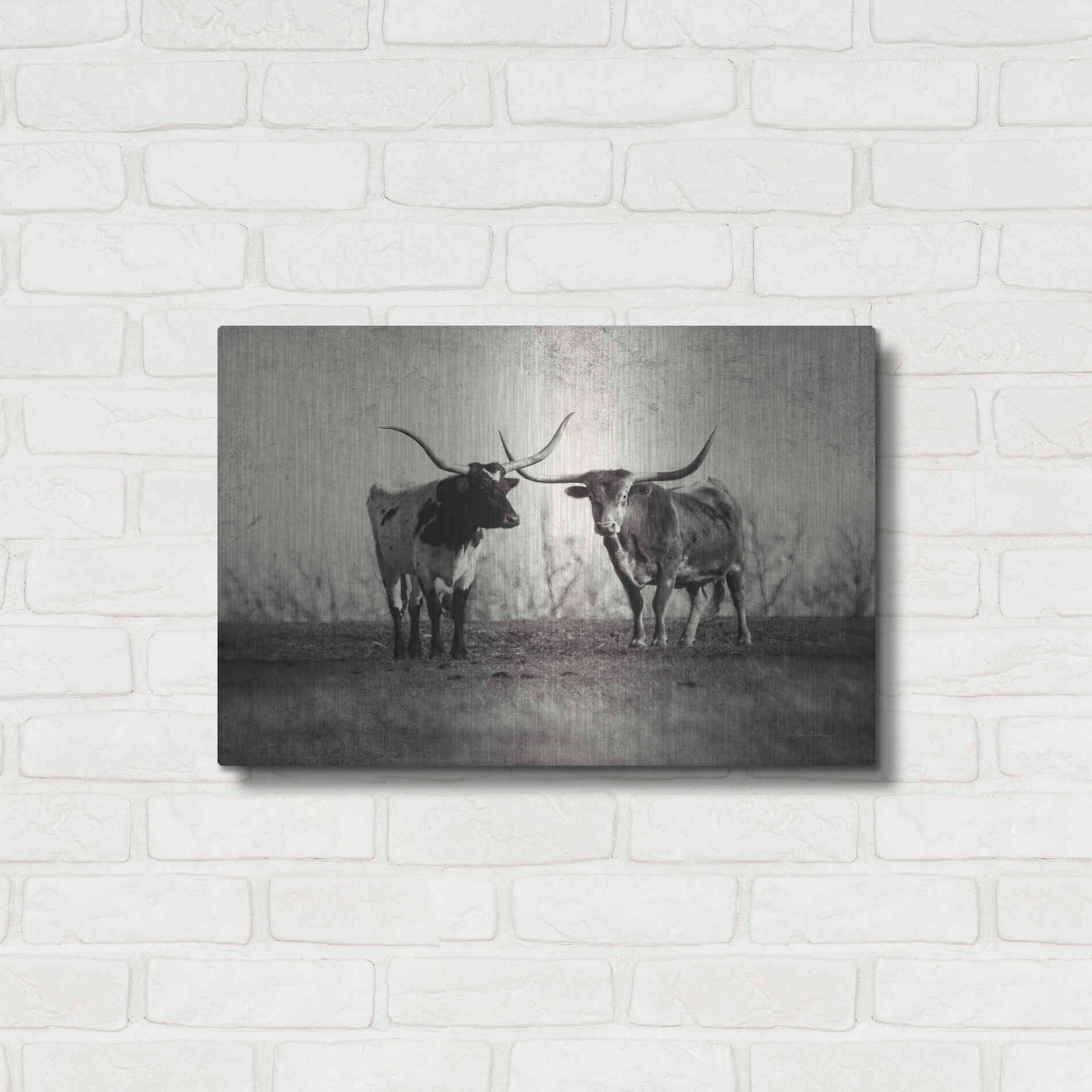 Luxe Metal Art 'Texas Longhorns' by Debra Van Swearingen, Metal Wall Art,24x16