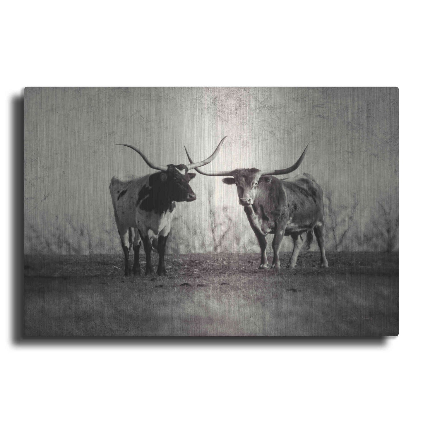 Luxe Metal Art 'Texas Longhorns' by Debra Van Swearingen, Metal Wall Art