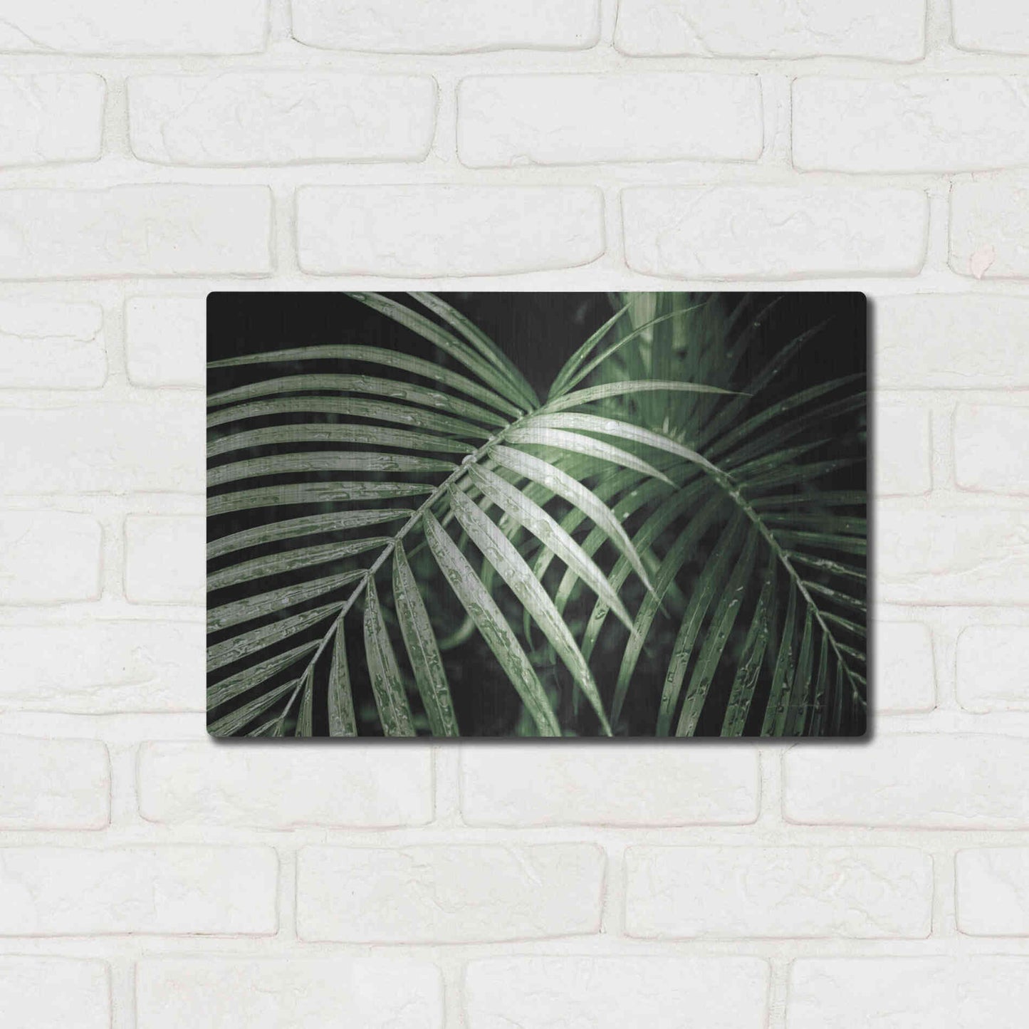 Luxe Metal Art 'Palm Fronds Green' by Debra Van Swearingen, Metal Wall Art,16x12