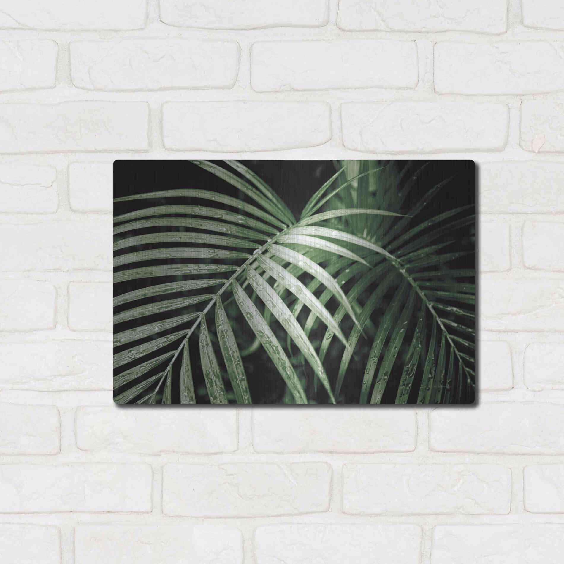 Luxe Metal Art 'Palm Fronds Green' by Debra Van Swearingen, Metal Wall Art,16x12