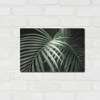 Luxe Metal Art 'Palm Fronds Green' by Debra Van Swearingen, Metal Wall Art,16x12