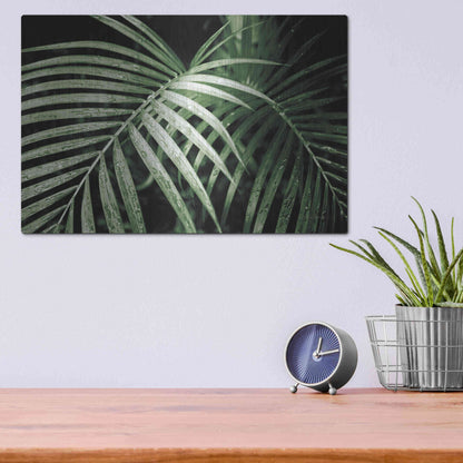 Luxe Metal Art 'Palm Fronds Green' by Debra Van Swearingen, Metal Wall Art,16x12