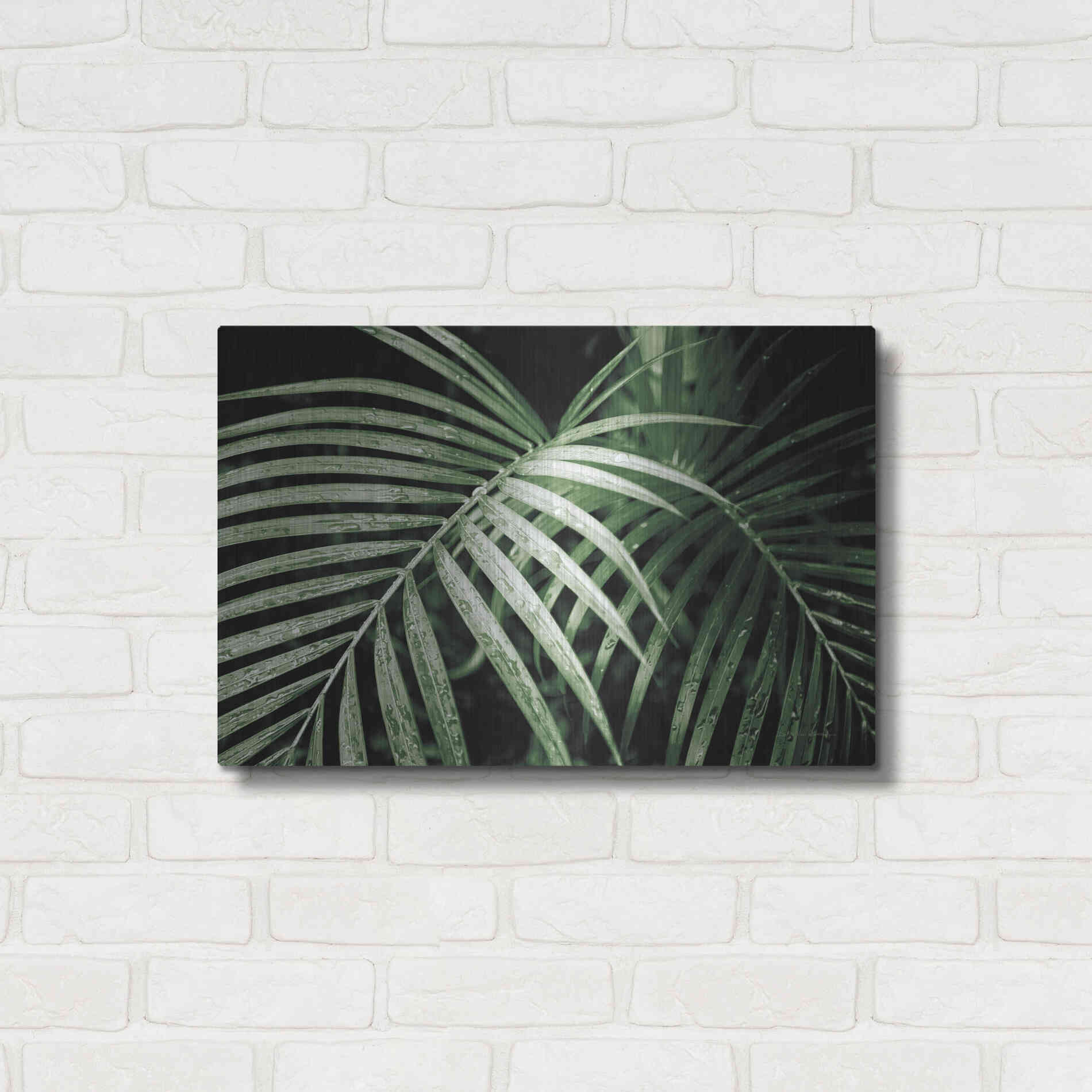 Luxe Metal Art 'Palm Fronds Green' by Debra Van Swearingen, Metal Wall Art,24x16