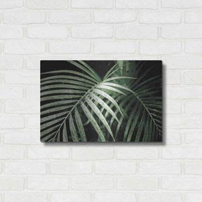 Luxe Metal Art 'Palm Fronds Green' by Debra Van Swearingen, Metal Wall Art,24x16