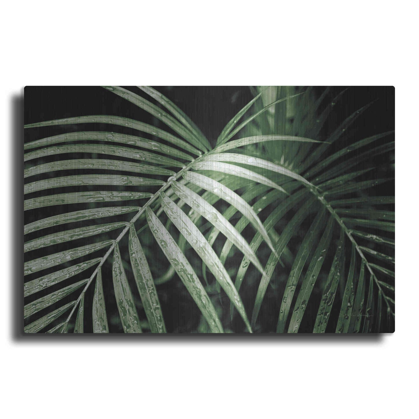 Luxe Metal Art 'Palm Fronds Green' by Debra Van Swearingen, Metal Wall Art