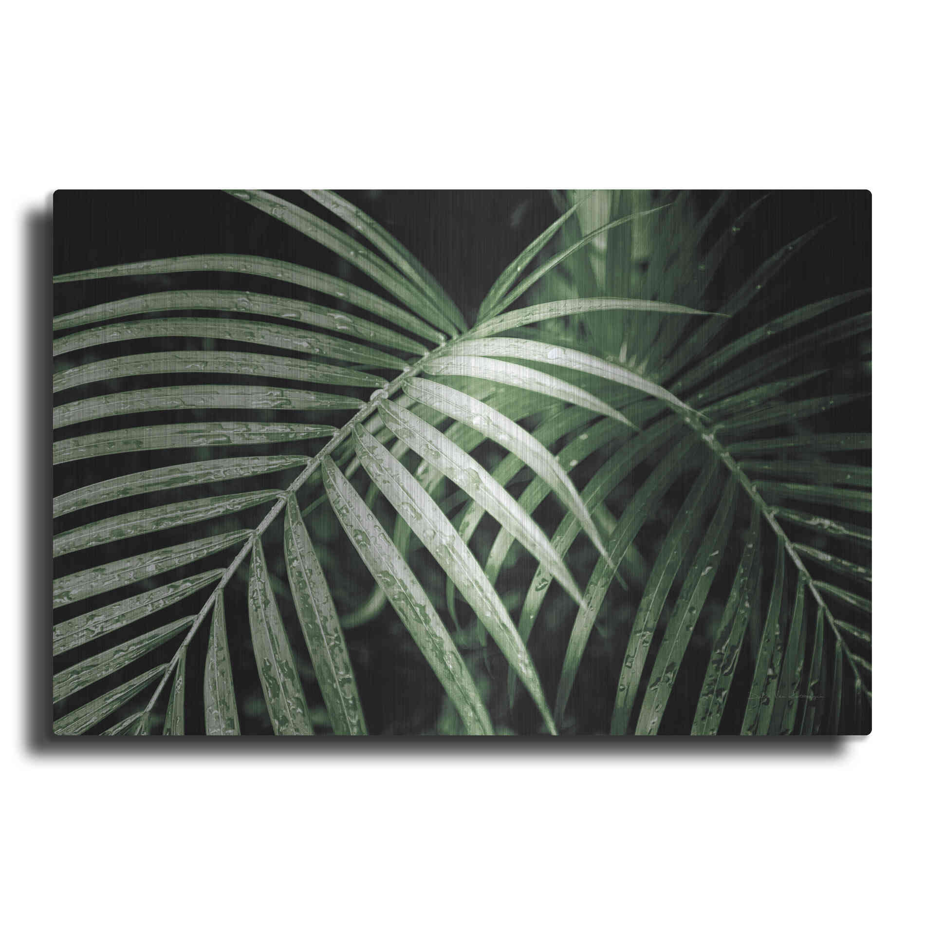 Luxe Metal Art 'Palm Fronds Green' by Debra Van Swearingen, Metal Wall Art