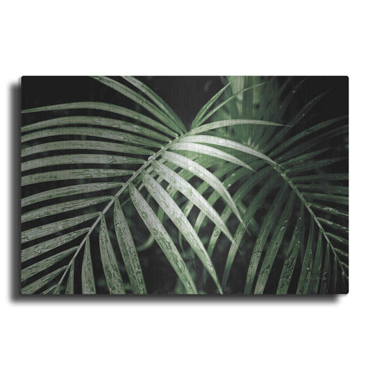 Luxe Metal Art 'Palm Fronds Green' by Debra Van Swearingen, Metal Wall Art