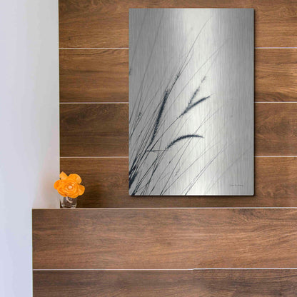 Luxe Metal Art 'Field Grasses I' by Debra Van Swearingen, Metal Wall Art,12x16