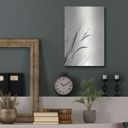 Luxe Metal Art 'Field Grasses I' by Debra Van Swearingen, Metal Wall Art,12x16