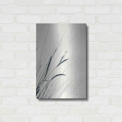Luxe Metal Art 'Field Grasses I' by Debra Van Swearingen, Metal Wall Art,16x24
