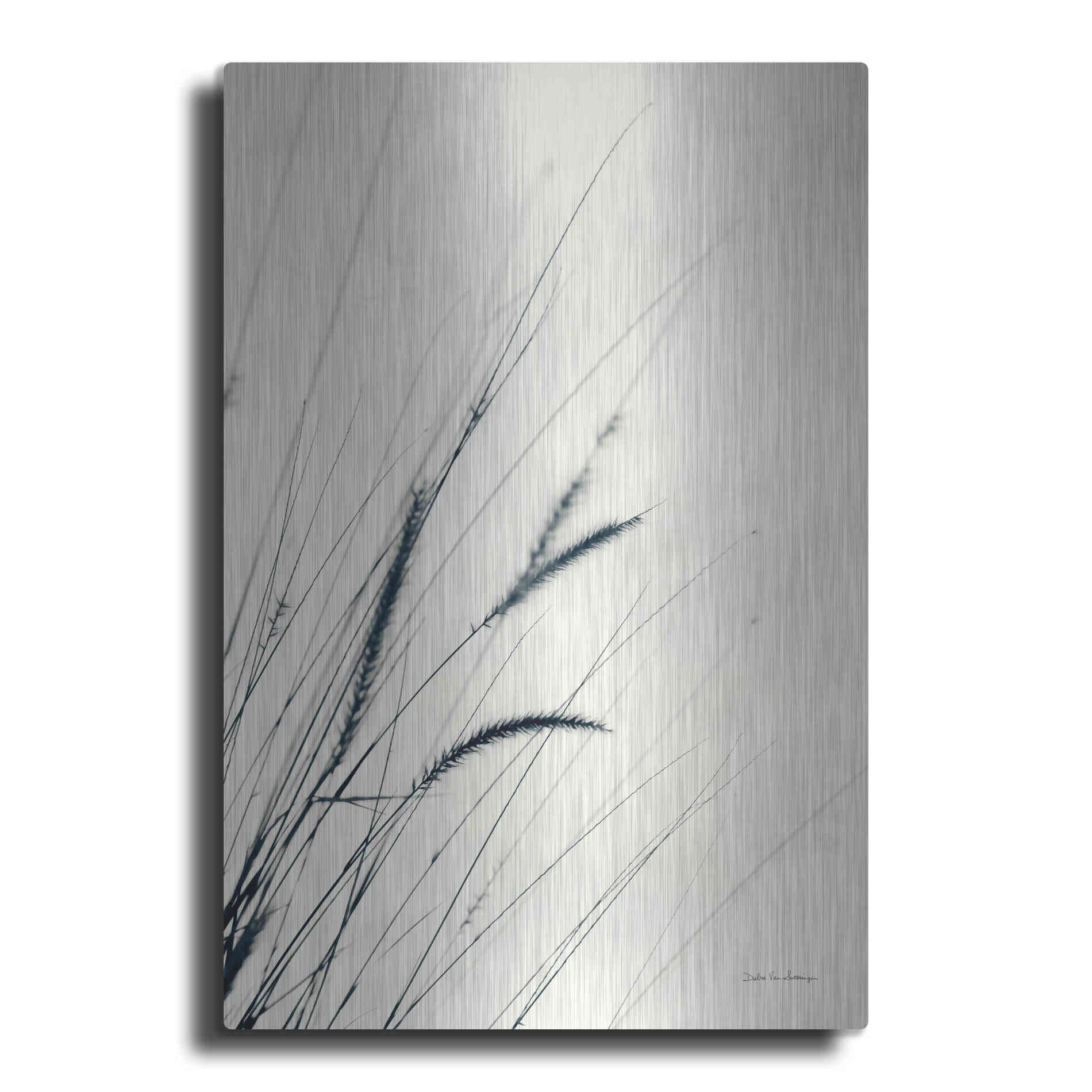 Luxe Metal Art 'Field Grasses I' by Debra Van Swearingen, Metal Wall Art