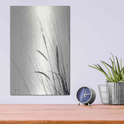Luxe Metal Art 'Field Grasses II' by Debra Van Swearingen, Metal Wall Art,12x16
