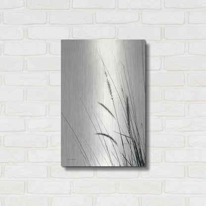 Luxe Metal Art 'Field Grasses II' by Debra Van Swearingen, Metal Wall Art,16x24