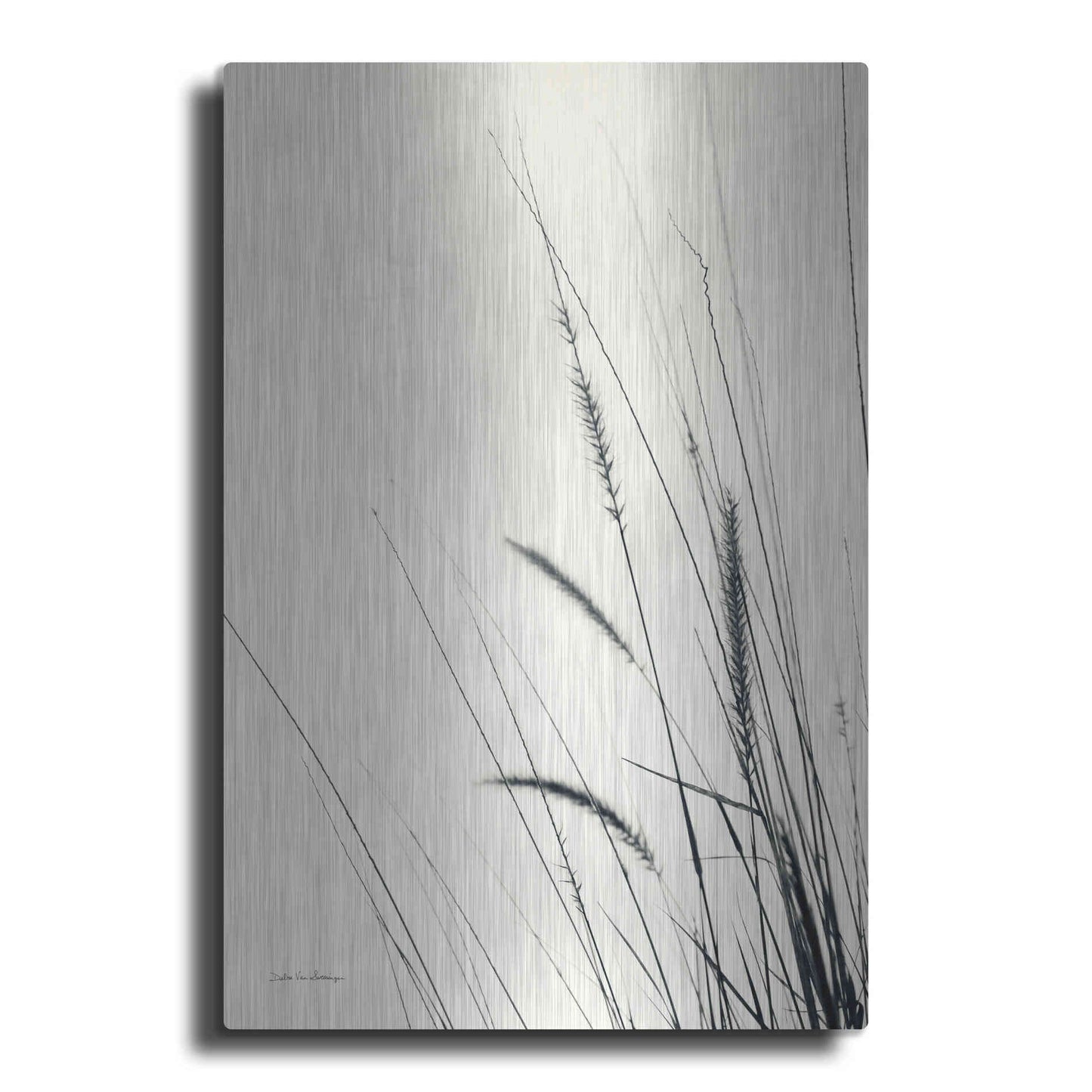 Luxe Metal Art 'Field Grasses II' by Debra Van Swearingen, Metal Wall Art