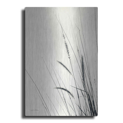 Luxe Metal Art 'Field Grasses II' by Debra Van Swearingen, Metal Wall Art