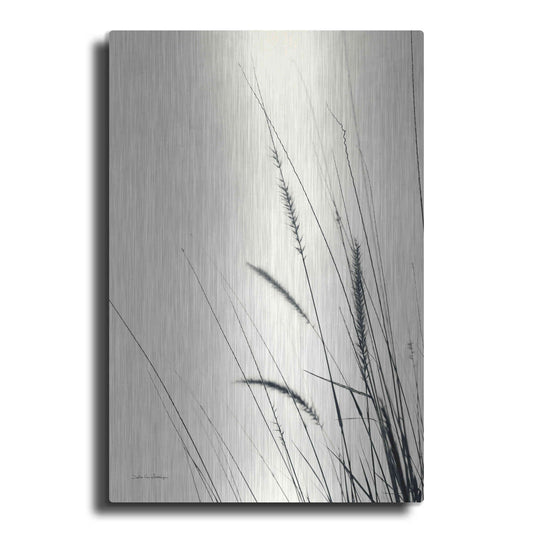 Luxe Metal Art 'Field Grasses II' by Debra Van Swearingen, Metal Wall Art