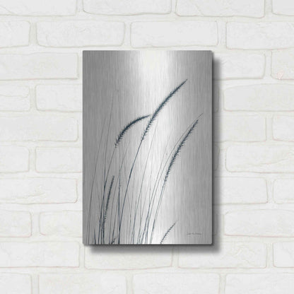 Luxe Metal Art 'Field Grasses III' by Debra Van Swearingen, Metal Wall Art,12x16