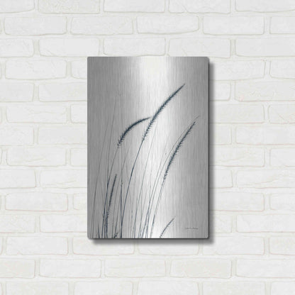 Luxe Metal Art 'Field Grasses III' by Debra Van Swearingen, Metal Wall Art,16x24