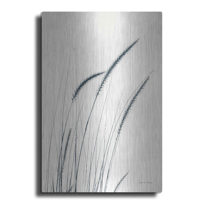 Luxe Metal Art 'Field Grasses III' by Debra Van Swearingen, Metal Wall Art
