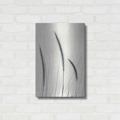 Luxe Metal Art 'Field Grasses IV' by Debra Van Swearingen, Metal Wall Art,16x24