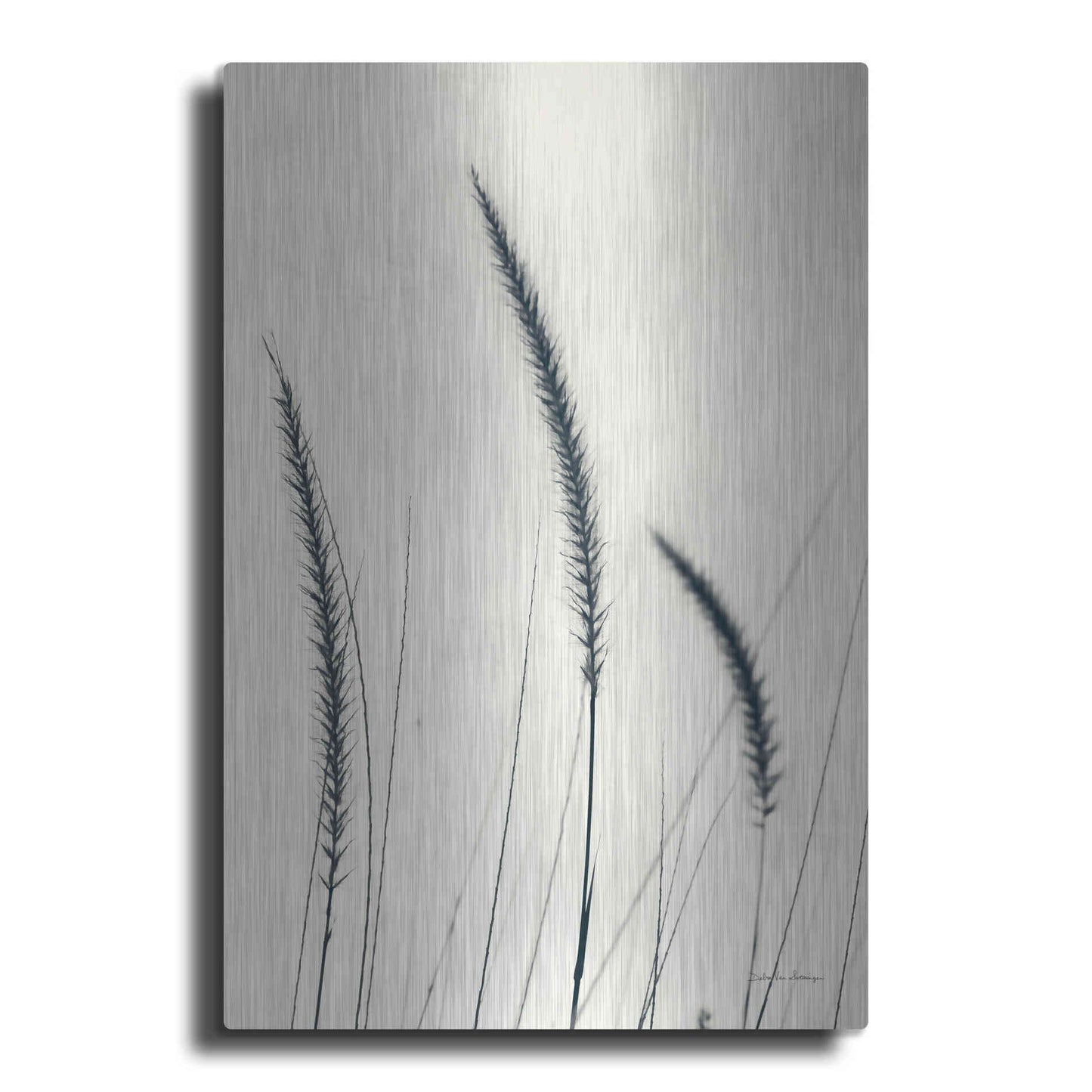 Luxe Metal Art 'Field Grasses IV' by Debra Van Swearingen, Metal Wall Art