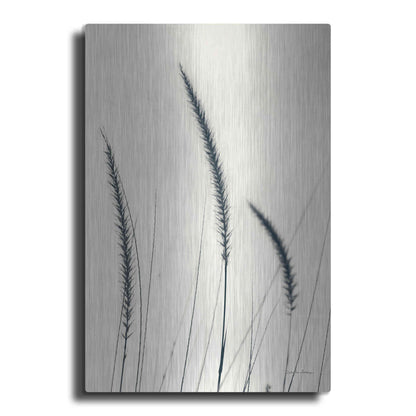 Luxe Metal Art 'Field Grasses IV' by Debra Van Swearingen, Metal Wall Art