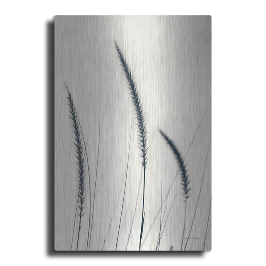 Luxe Metal Art 'Field Grasses IV' by Debra Van Swearingen, Metal Wall Art