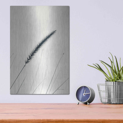 Luxe Metal Art 'Field Grasses V' by Debra Van Swearingen, Metal Wall Art,12x16