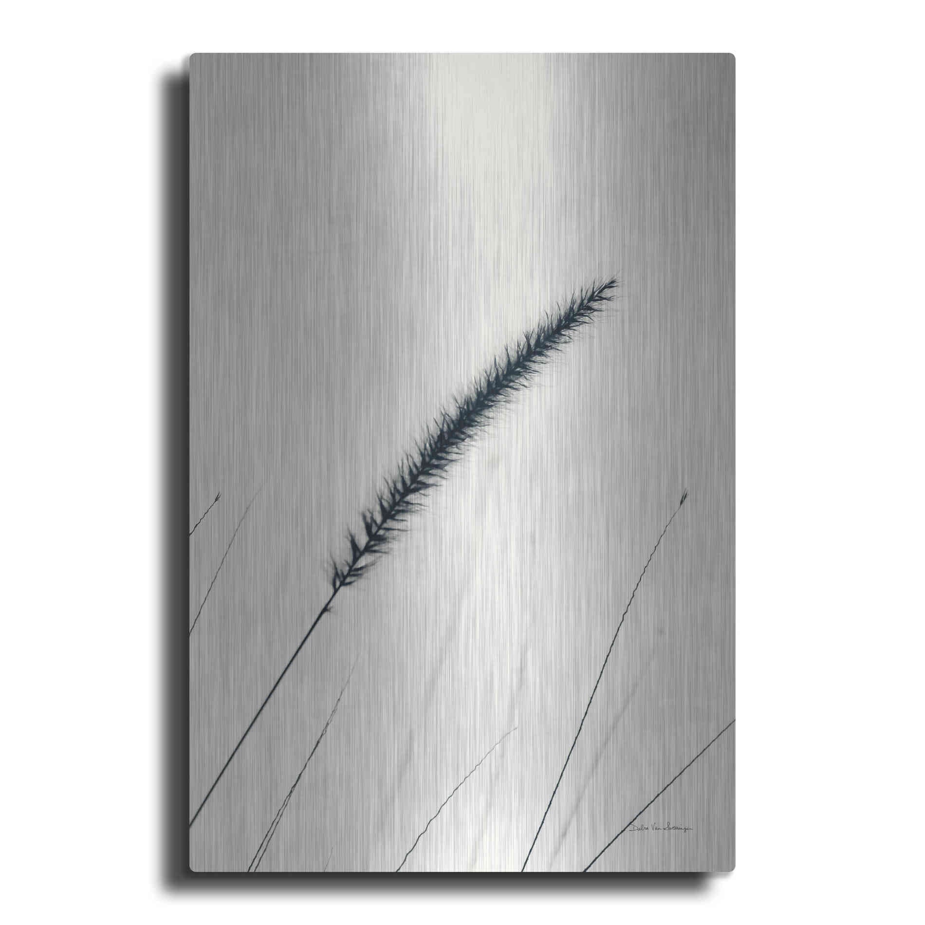 Luxe Metal Art 'Field Grasses V' by Debra Van Swearingen, Metal Wall Art