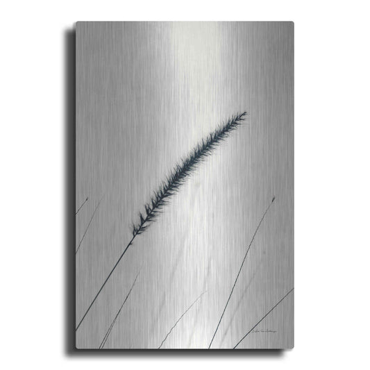 Luxe Metal Art 'Field Grasses V' by Debra Van Swearingen, Metal Wall Art