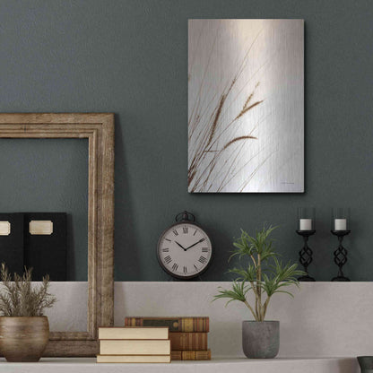 Luxe Metal Art 'Field Grasses I Sepia' by Debra Van Swearingen, Metal Wall Art,12x16