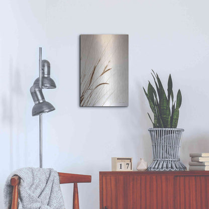 Luxe Metal Art 'Field Grasses I Sepia' by Debra Van Swearingen, Metal Wall Art,16x24