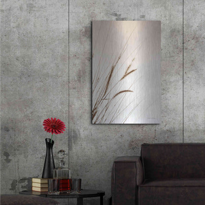 Luxe Metal Art 'Field Grasses I Sepia' by Debra Van Swearingen, Metal Wall Art,24x36