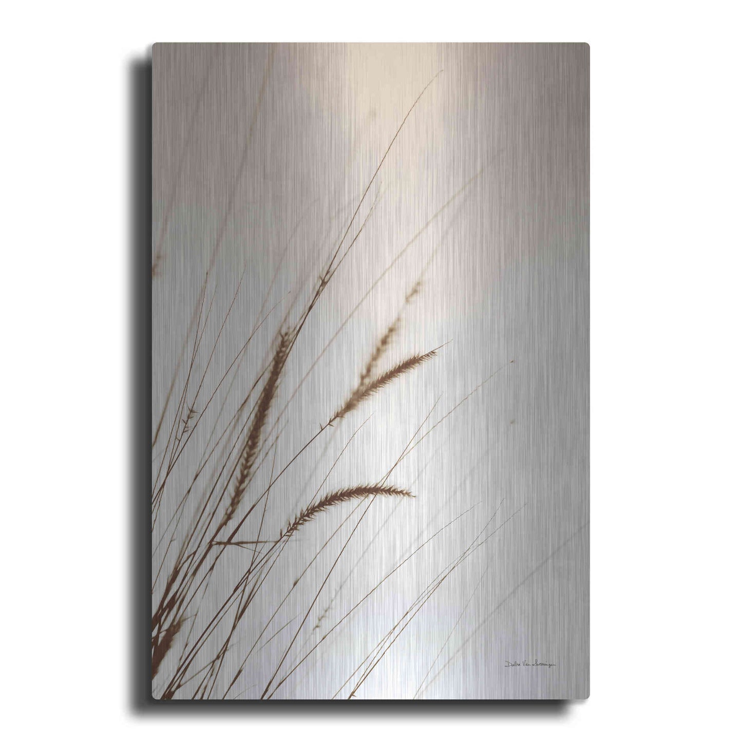 Luxe Metal Art 'Field Grasses I Sepia' by Debra Van Swearingen, Metal Wall Art