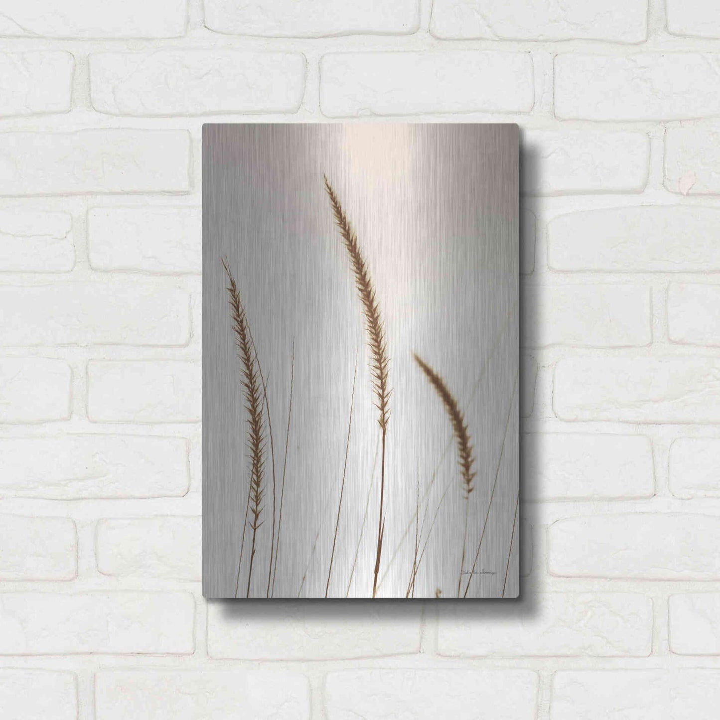 Luxe Metal Art 'Field Grasses IV Sepia' by Debra Van Swearingen, Metal Wall Art,12x16