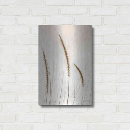 Luxe Metal Art 'Field Grasses IV Sepia' by Debra Van Swearingen, Metal Wall Art,16x24