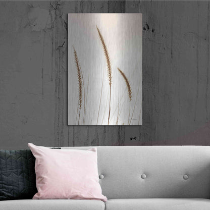 Luxe Metal Art 'Field Grasses IV Sepia' by Debra Van Swearingen, Metal Wall Art,24x36
