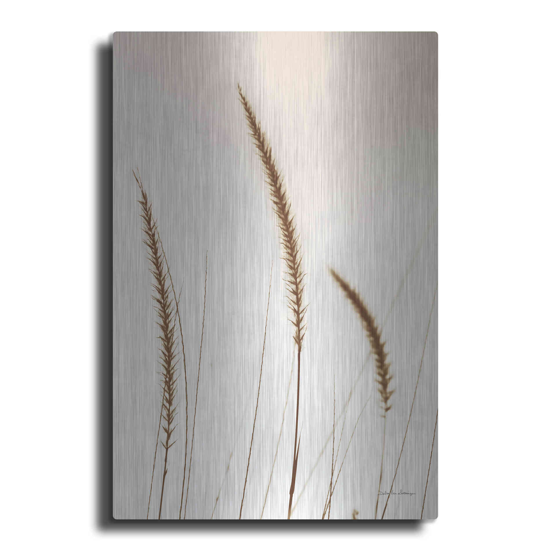 Luxe Metal Art 'Field Grasses IV Sepia' by Debra Van Swearingen, Metal Wall Art