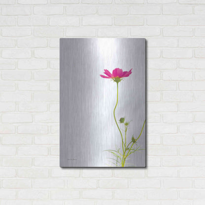 Luxe Metal Art 'Magenta Cosmos II' by Debra Van Swearingen, Metal Wall Art,24x36