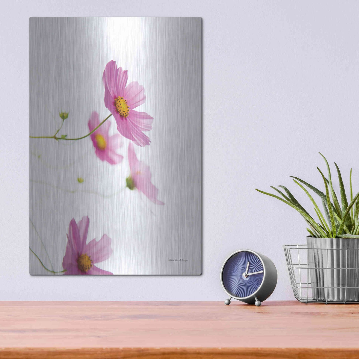 Luxe Metal Art 'Pale Cosmos I' by Debra Van Swearingen, Metal Wall Art,12x16