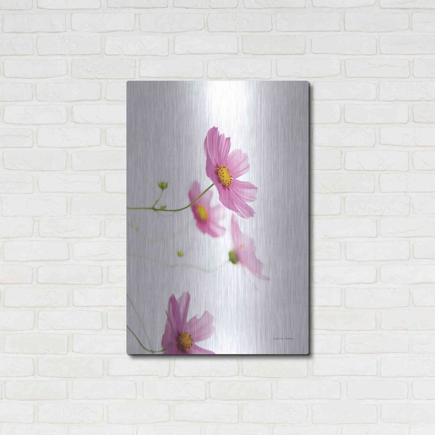 Luxe Metal Art 'Pale Cosmos I' by Debra Van Swearingen, Metal Wall Art,24x36