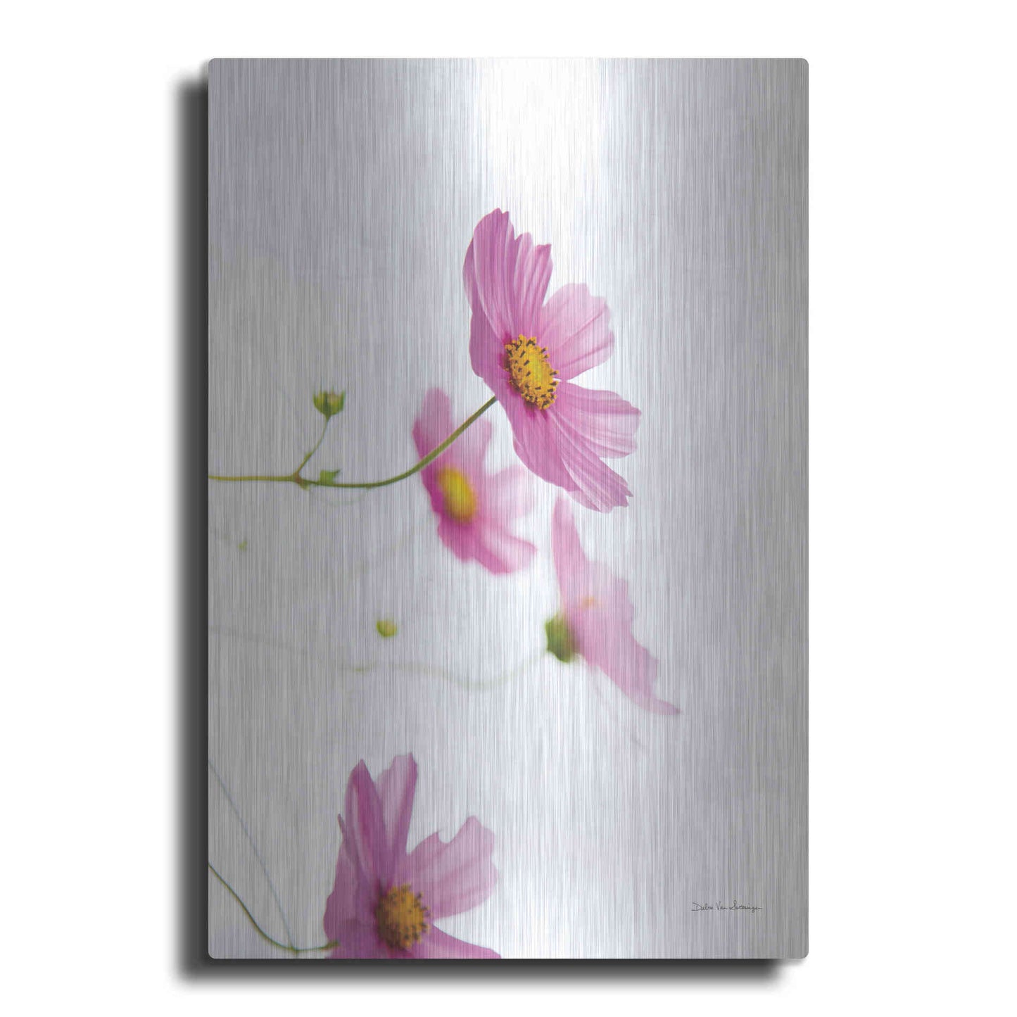 Luxe Metal Art 'Pale Cosmos I' by Debra Van Swearingen, Metal Wall Art