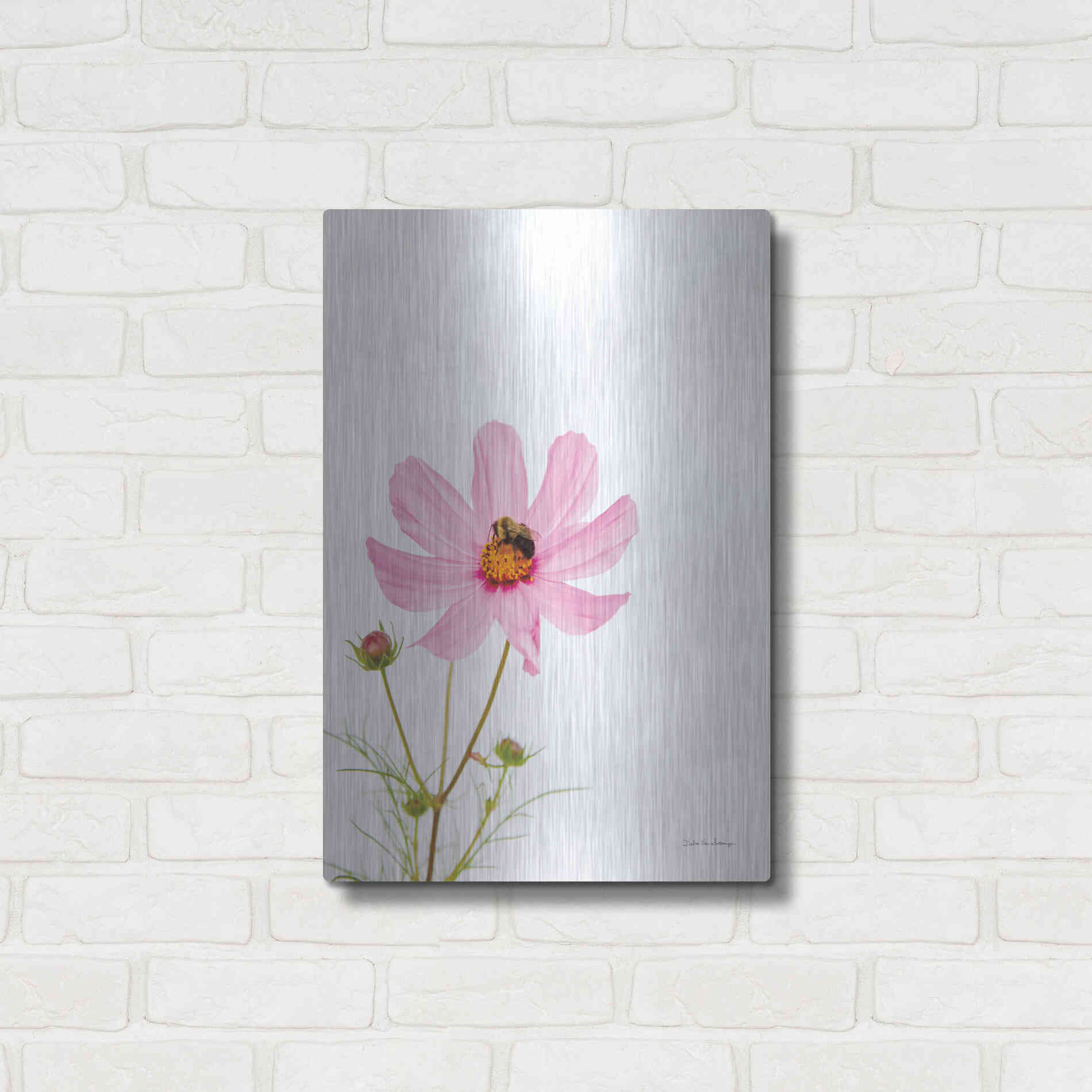 Luxe Metal Art 'Pale Cosmos II' by Debra Van Swearingen, Metal Wall Art,16x24